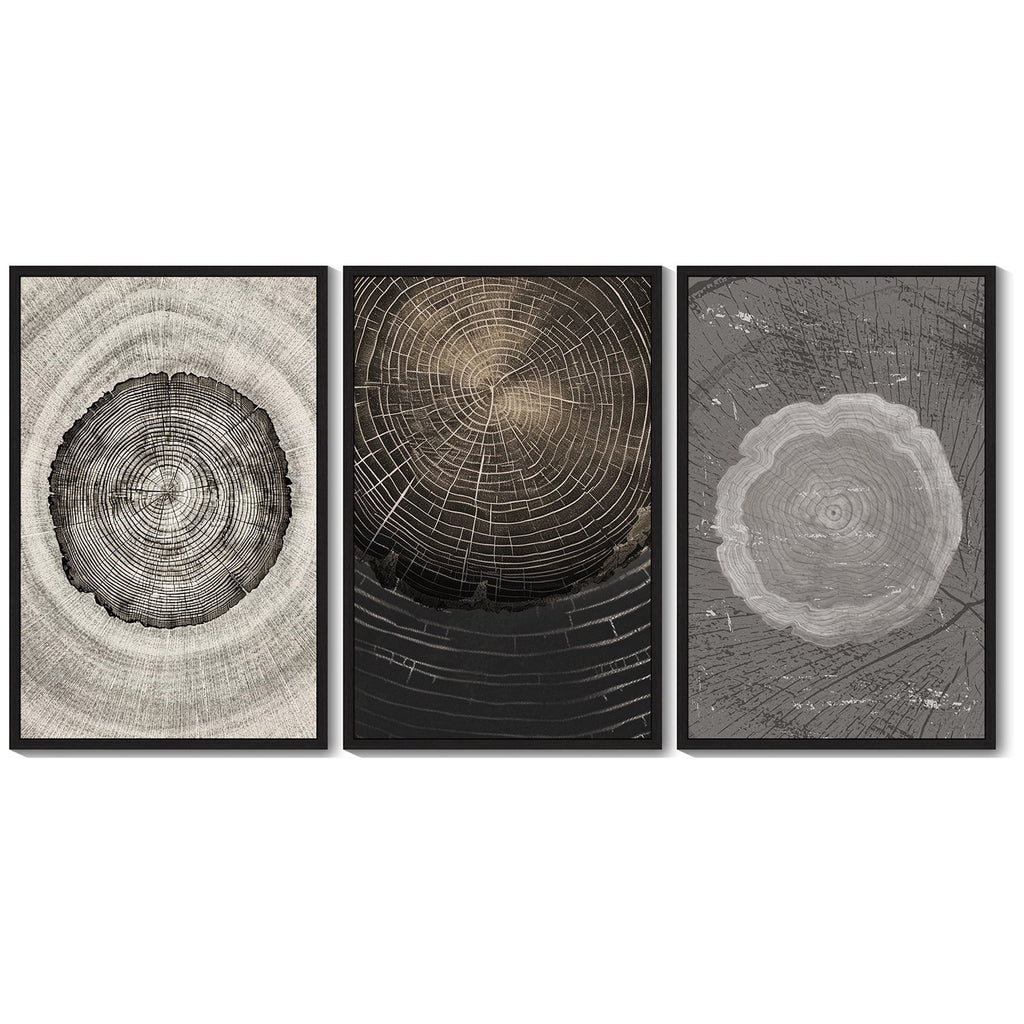 16x24in Black Framed Vintage Wood Tree Rings Wall Art Farmhouse Rustic Framed for Office Dining Room Hallway Canvas Paintings Nature Artwork