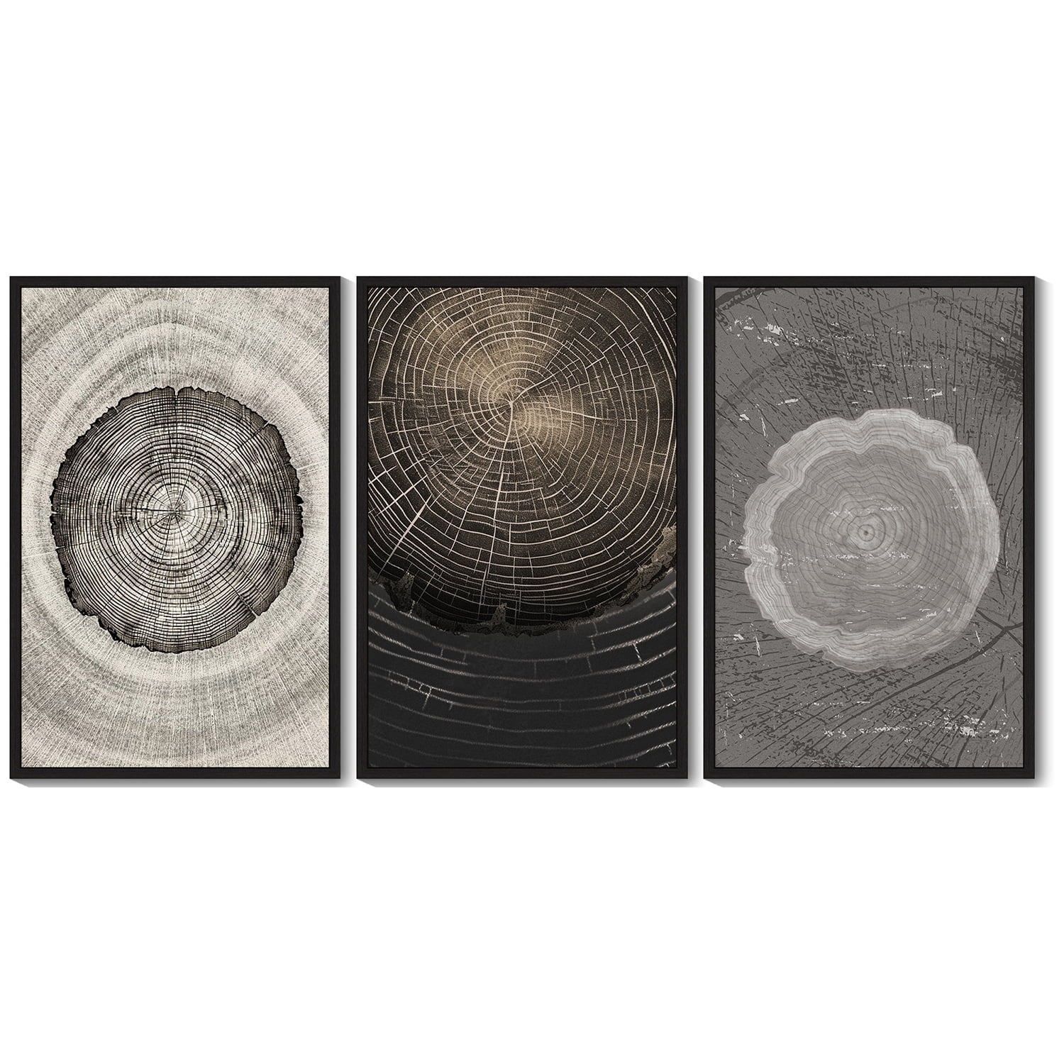 Drsoum Vintage Wood Tree Rings Wall Art Farmhouse Rustic Framed for Office Dining Room Hallway Canvas Paintings Nature Artwork 16x24in Black Framed