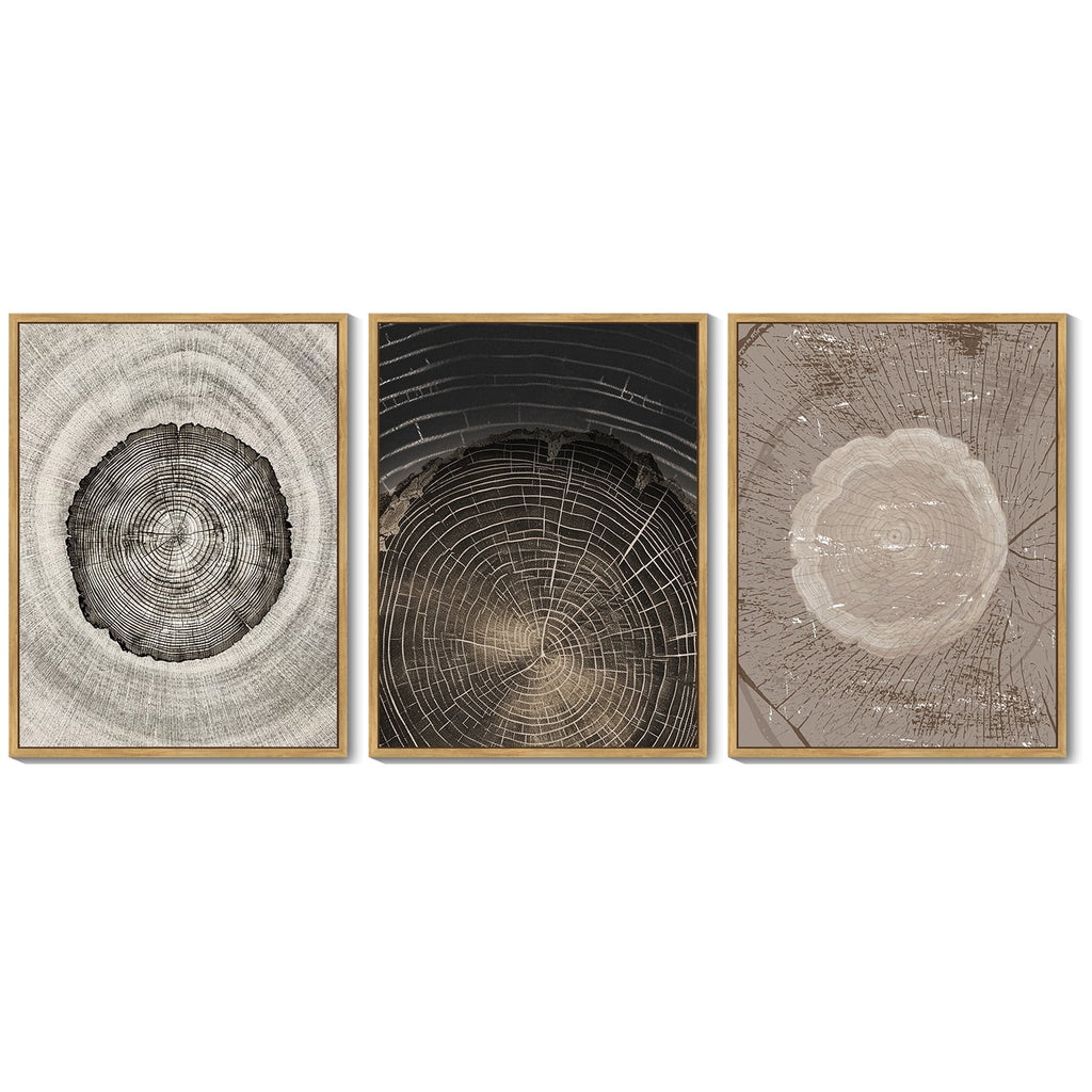 Vintage Wood Tree Rings Wall Art 11x14in Natural Framed Farmhouse Rustic Framed Canvas Paintings Nature Artwork for Office Dining Room Hallway
