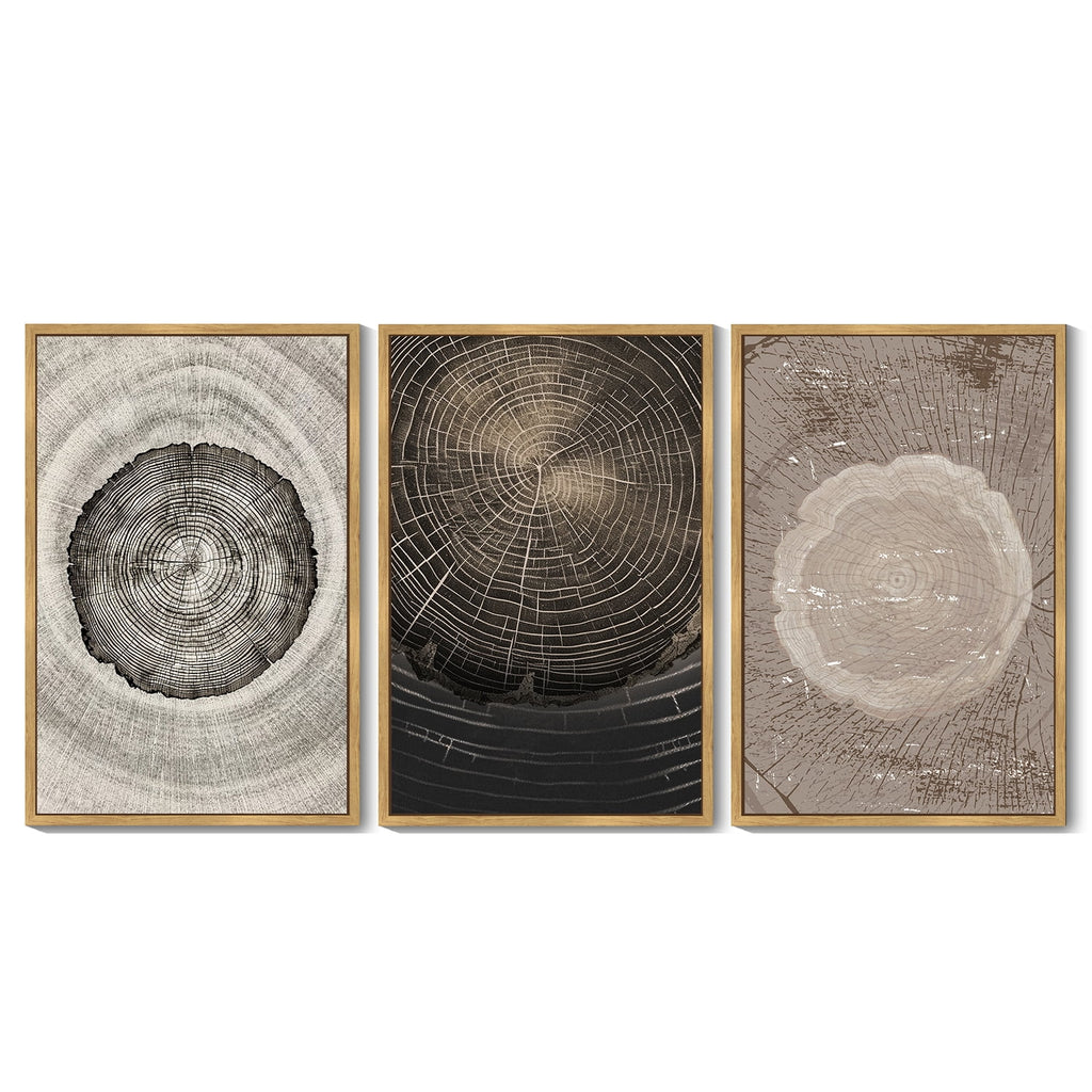 Vintage Wood Tree Rings Wall Art Farmhouse Rustic Framed Canvas Paintings Nature Artwork for Office Dining Room Hallway 24x36in Natural Framed