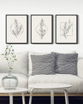 Drsoum Bohemian Plant Wall Decor for Bathroom Office Boho Leaf Artwork Ready to Hang 11x14in3pcs Black Framed