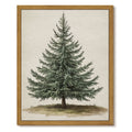 Drsoum Botanical Pine Tree Vintage Forest Art Print 12x16