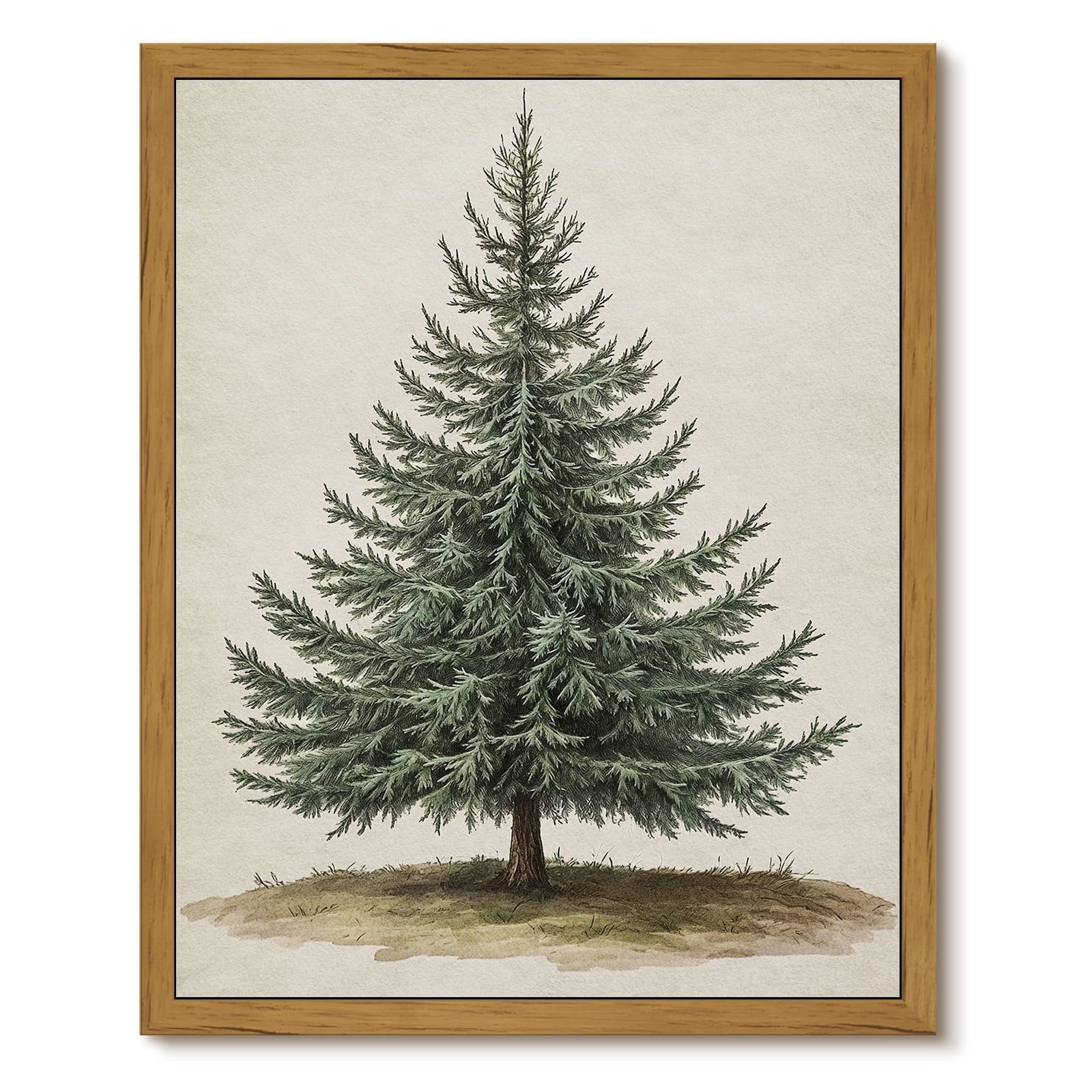Drsoum Botanical Pine Tree Vintage Forest Art Print 12x16