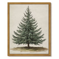 Drsoum Botanical Pine Tree Vintage Forest Art Print 8x10