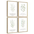 Drsoum Botanical Plant Wall Art Light Green Leaf Decor for Bedroom Living Room Bathroom Home Office 8x10in4pcs Natural Framed