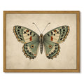 Drsoum Butterfly Wall Art Framed Canvas Print 8x10 Inch
