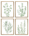 Drsoum Framed Botanical Plant Canvas Wood Wall Art Green Sage Eucalyptus Leaf Picture 8"x10"x4pcs