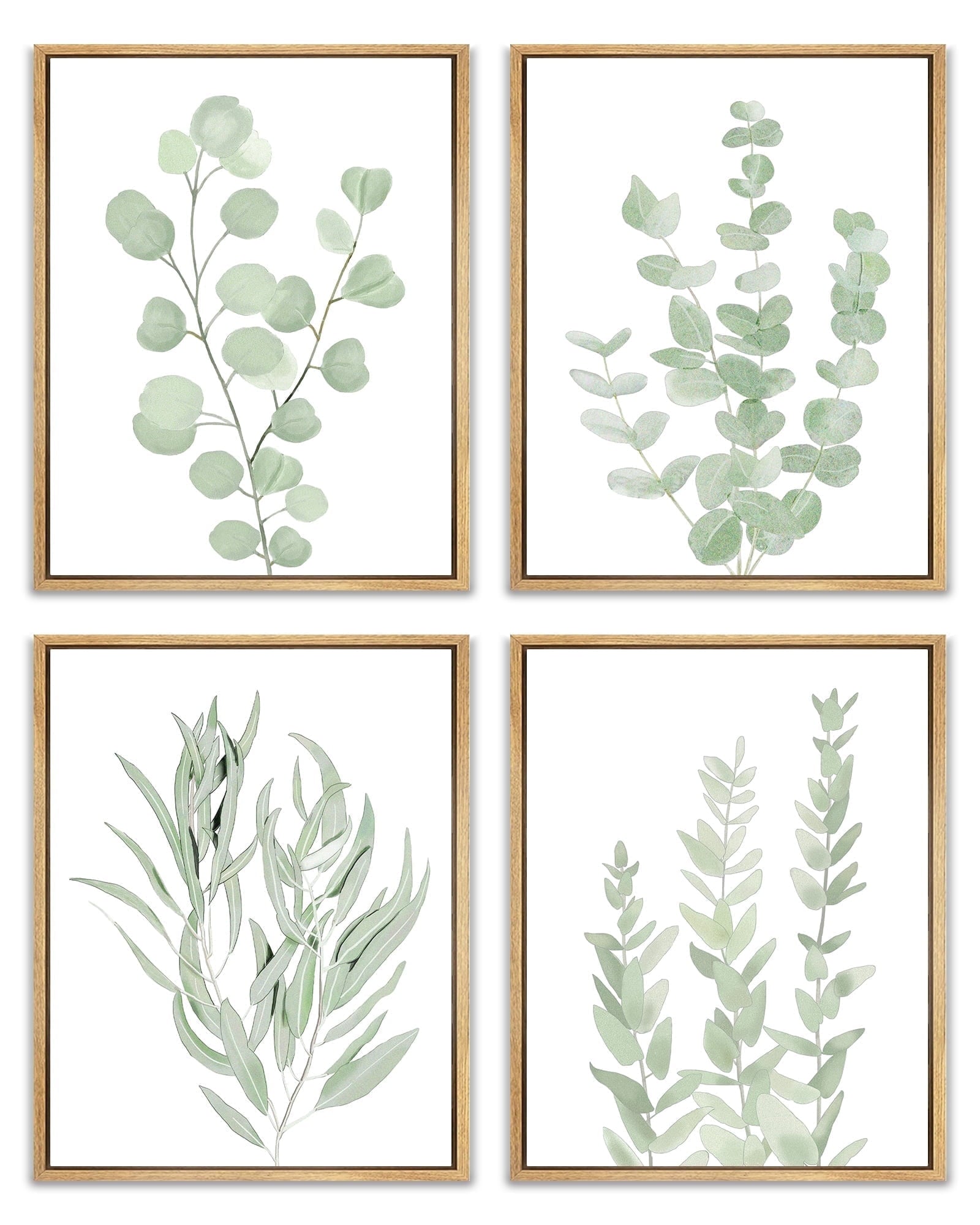 Drsoum Framed Botanical Plant Canvas Wood Wall Art Green Sage Eucalyptus Leaf Picture 8"x10"x4pcs