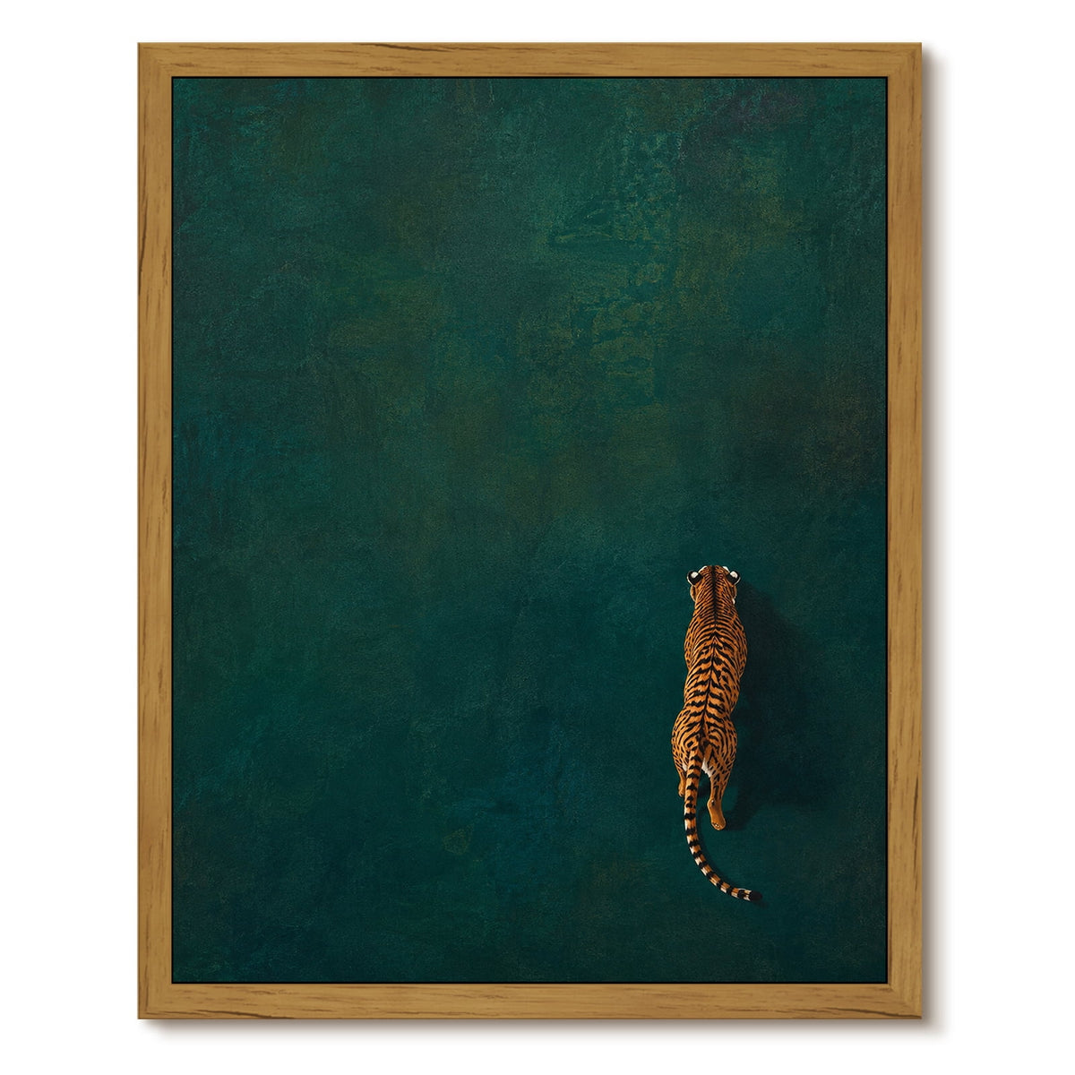 Drsoum Tiger Wall Art Framed Canvas Print 12x16 Inch