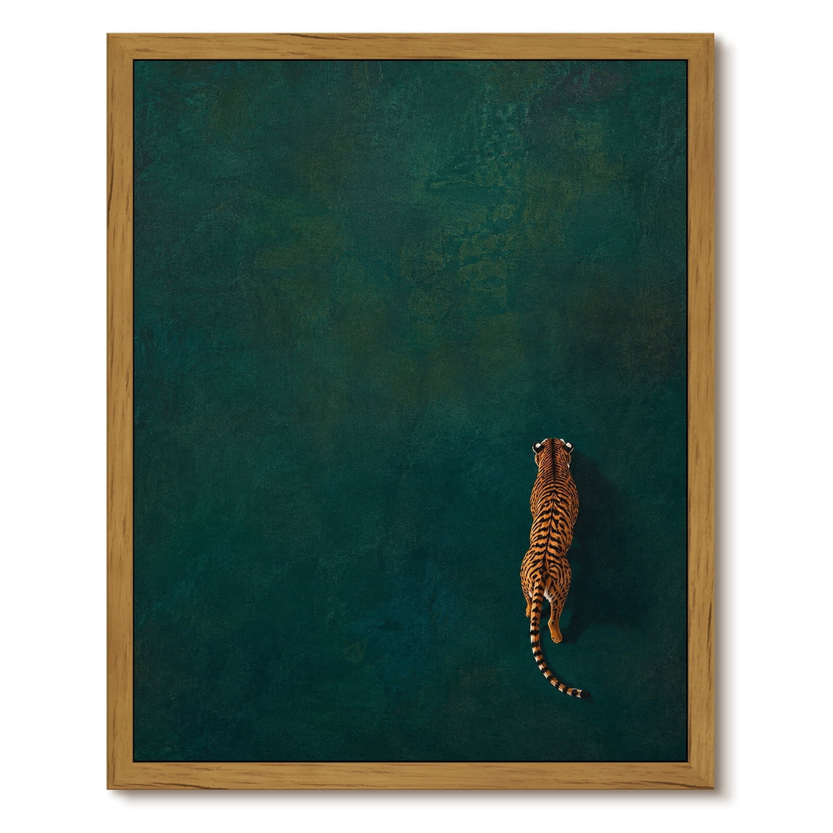 Drsoum Tiger Wall Art Framed Canvas Print 8x10 Inch