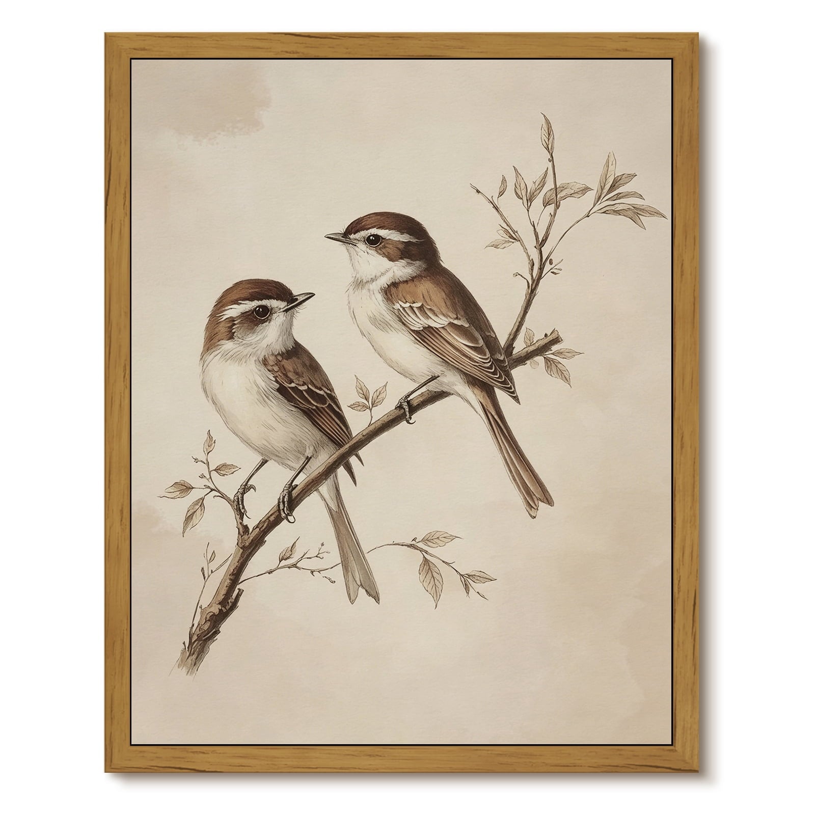 Drsoum Vintage Bird Canvas Art Framed Botanical Print 12x16 Inch